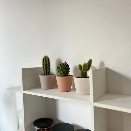 Apartment Modern Cozy In The Heart Of Paris
